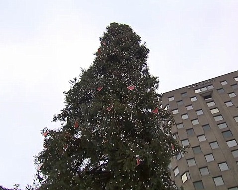 В Монреале установили кривую рождественскую елку