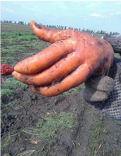 Морковка с бриллиантом