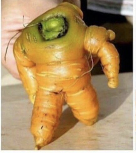 Морковка-астронавт