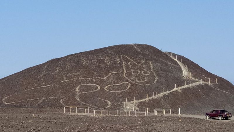 В Перу обнаружили самое большое изображение кошки в мире