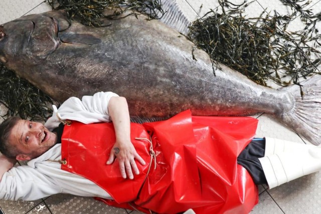В Шотландии выловили рыбу размером с человека