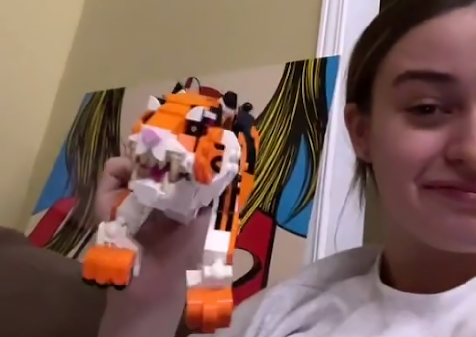 Американка купила тигра из Lego и нашла, что он гиперреалистичный