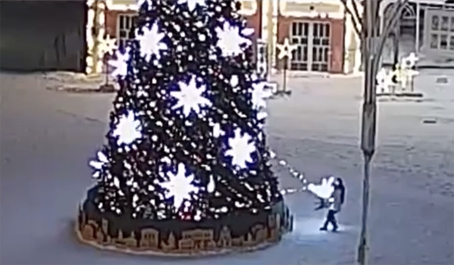 С ёлки звездочку достану и на память подарю: парочка россиян обчистила новогоднее дерево