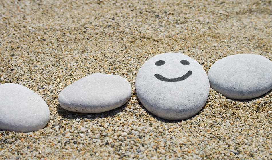 Камни-питомцы становятся всё популярнее среди россиян